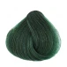 واریاسیون سبز (ضد قرمزی) شماره 07 بیول|biol hair color green