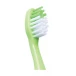 مسواک مدل پی 315 لاک پشت پرسیکا|Persica P315 Turtle Toothbrush