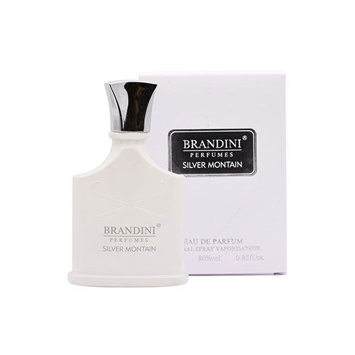 عطر مردانه مدل سیلور مونتاین برندینی|Brandini Silver Montain for Men