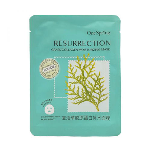  ماسک ورقه ای مرطوب کننده کلاژن وان اسپیرینگ|One Spring Resurrection Collagen Mask Sheet