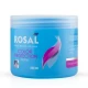  ماسک مو گندم تثبیت کننده موهای رنگ شده و هایلایت بدون سولفات 500میل رزال|Rosal Wheat Protein Hair Mask For Colored&Highlighted Hair 500ml