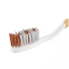مسواک سیگنال مدل تریپل پروتکشن برس مدیوم|Signal Triple Protection Toothbrush