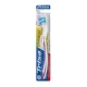 مسواک فوکوس پروکلین با برس سخت تریزا|Trisa Focus Pro Clean Toothbrush With Hard Brush