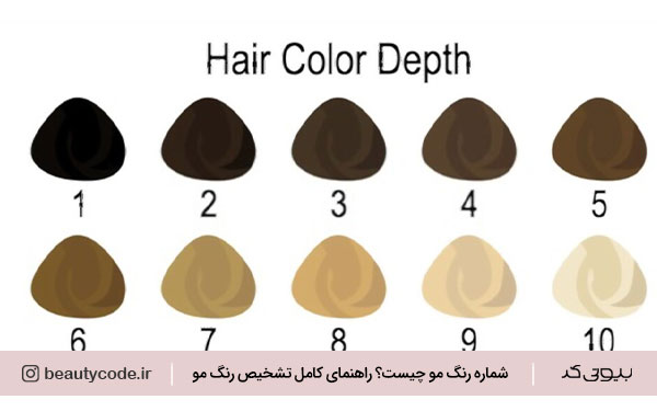 کاتالوگ رنگ مو