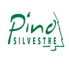 پینو|pino