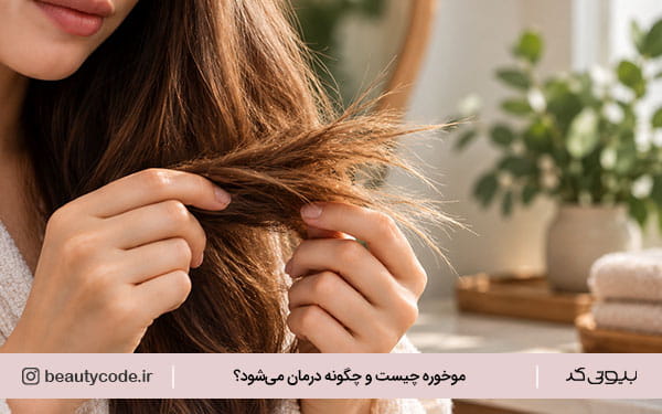 موخوره چیست
